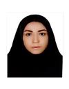 علوم پایه علوم کامپیوتر علوم کامپیوتر