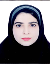 علوم انسانی فلسفه فلسفه