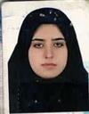 علوم انسانی مجموعه زبان و ادبیات فارسی زبان و ادبیات فارسی