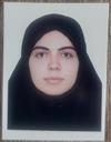 علوم انسانی مجموعه علم اطلاعات و دانش شناسی علم اطلاعات و دانش شناسی